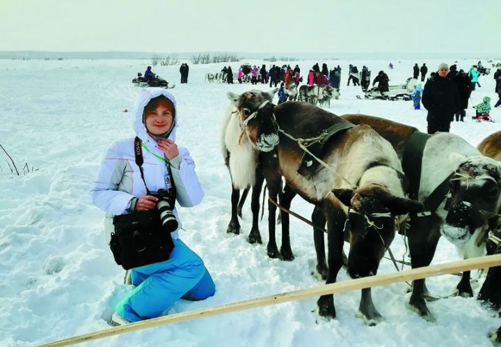 Тепло Севера