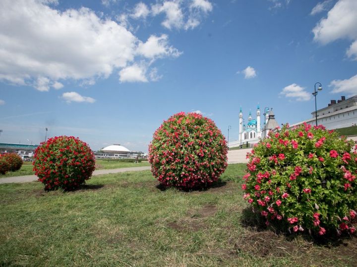 У стен Казанского Кремля появились гигантские цветочные шары